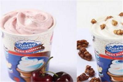 DF冰雪精靈冰淇淋加盟 開(kāi)啟甜蜜事業(yè)的黃金選擇